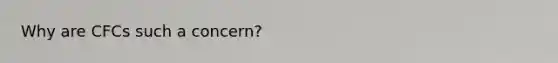 Why are CFCs such a concern?