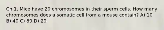 Ch 1. Mice have 20 chromosomes in their sperm cells. How many chromosomes does a somatic cell from a mouse contain? A) 10 B) 40 C) 80 D) 20