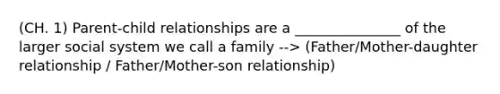 (CH. 1) Parent-child relationships are a _______________ of the larger social system we call a family --> (Father/Mother-daughter relationship / Father/Mother-son relationship)