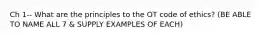 Ch 1-- What are the principles to the OT code of ethics? (BE ABLE TO NAME ALL 7 & SUPPLY EXAMPLES OF EACH)