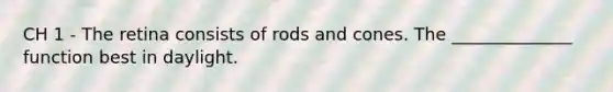 CH 1 - The retina consists of rods and cones. The ______________ function best in daylight.