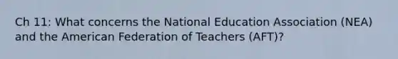 Ch 11: What concerns the National Education Association (NEA) and the American Federation of Teachers (AFT)?