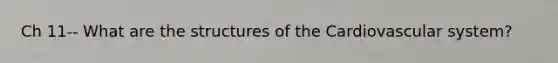 Ch 11-- What are the structures of the Cardiovascular system?