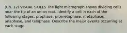 (Ch. 12) VISUAL SKILLS The light micrograph shows dividing cells near the tip of an onion root. Identify a cell in each of the following stages: prophase, prometaphase, metaphase, anaphase, and telophase. Describe the major events occurring at each stage.