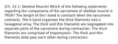 (Ch. 12.1; Skeletal Muscle) Which of the following statements regarding the components of the sarcomere of skeletal muscle is TRUE? The length of the I band is constant when the sarcomere contracts. The A band organizes the thick filaments into a hexagonal array. The thick and thin filaments are segregated into separate parts of the sarcomere during contraction. The thick filaments are comprised of tropomyosin. The thick and thin filaments slide past each other during contraction.