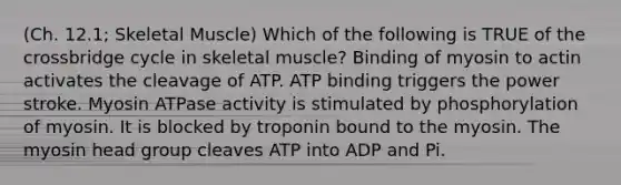 (Ch. 12.1; Skeletal Muscle) Which of the following is TRUE of the crossbridge cycle in skeletal muscle? Binding of myosin to actin activates the cleavage of ATP. ATP binding triggers the power stroke. Myosin ATPase activity is stimulated by phosphorylation of myosin. It is blocked by troponin bound to the myosin. The myosin head group cleaves ATP into ADP and Pi.