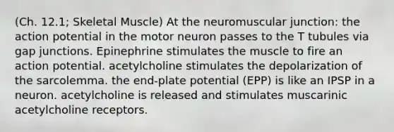 (Ch. 12.1; Skeletal Muscle) At the neuromuscular junction: the action potential in the motor neuron passes to the T tubules via gap junctions. Epinephrine stimulates the muscle to fire an action potential. acetylcholine stimulates the depolarization of the sarcolemma. the end-plate potential (EPP) is like an IPSP in a neuron. acetylcholine is released and stimulates muscarinic acetylcholine receptors.