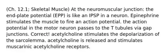 (Ch. 12.1; Skeletal Muscle) At the neuromuscular junction: the end-plate potential (EPP) is like an IPSP in a neuron. Epinephrine stimulates the muscle to fire an action potential. the action potential in the motor neuron passes to the T tubules via gap junctions. Correct! acetylcholine stimulates the depolarization of the sarcolemma. acetylcholine is released and stimulates muscarinic acetylcholine receptors.