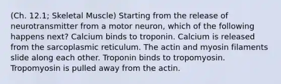 (Ch. 12.1; Skeletal Muscle) Starting from the release of neurotransmitter from a motor neuron, which of the following happens next? Calcium binds to troponin. Calcium is released from the sarcoplasmic reticulum. The actin and myosin filaments slide along each other. Troponin binds to tropomyosin. Tropomyosin is pulled away from the actin.