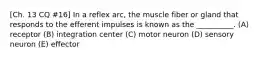 [Ch. 13 CQ #16] In a reflex arc, the muscle fiber or gland that responds to the efferent impulses is known as the __________. (A) receptor (B) integration center (C) motor neuron (D) sensory neuron (E) effector