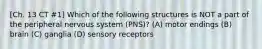 [Ch. 13 CT #1] Which of the following structures is NOT a part of the peripheral nervous system (PNS)? (A) motor endings (B) brain (C) ganglia (D) sensory receptors