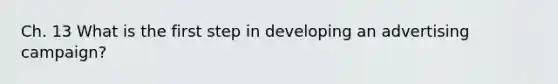 Ch. 13 What is the first step in developing an advertising campaign?