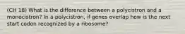 (CH 18) What is the difference between a polycistron and a monocistron? In a polycistron, if genes overlap how is the next start codon recognized by a ribosome?