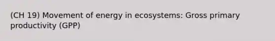 (CH 19) Movement of energy in ecosystems: Gross primary productivity (GPP)