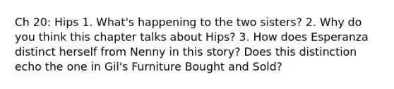 Ch 20: Hips 1. What's happening to the two sisters? 2. Why do you think this chapter talks about Hips? 3. How does Esperanza distinct herself from Nenny in this story? Does this distinction echo the one in Gil's Furniture Bought and Sold?