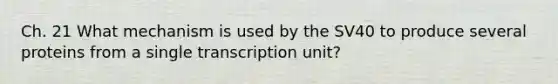 Ch. 21 What mechanism is used by the SV40 to produce several proteins from a single transcription unit?