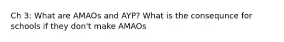 Ch 3: What are AMAOs and AYP? What is the consequnce for schools if they don't make AMAOs