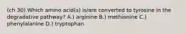 (ch 30) Which amino acid(s) is/are converted to tyrosine in the degradative pathway? A.) arginine B.) methionine C.) phenylalanine D.) tryptophan