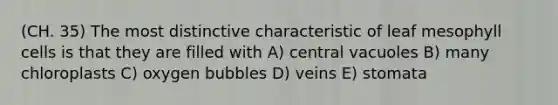 (CH. 35) The most distinctive characteristic of leaf mesophyll cells is that they are filled with A) central vacuoles B) many chloroplasts C) oxygen bubbles D) veins E) stomata