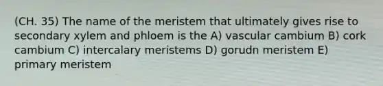 (CH. 35) The name of the meristem that ultimately gives rise to secondary xylem and phloem is the A) vascular cambium B) cork cambium C) intercalary meristems D) gorudn meristem E) primary meristem