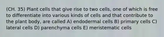 (CH. 35) Plant cells that give rise to two cells, one of which is free to differentiate into various kinds of cells and that contribute to the plant body, are called A) endodermal cells B) primary cells C) lateral cells D) parenchyma cells E) meristematic cells