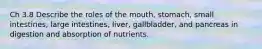 Ch 3.8 Describe the roles of the mouth, stomach, small intestines, large intestines, liver, gallbladder, and pancreas in digestion and absorption of nutrients.