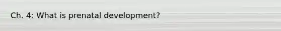 Ch. 4: What is prenatal development?