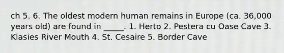 ch 5. 6. The oldest modern human remains in Europe (ca. 36,000 years old) are found in _____. 1. Herto 2. Pestera cu Oase Cave 3. Klasies River Mouth 4. St. Cesaire 5. Border Cave