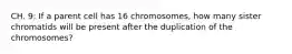 CH. 9: If a parent cell has 16 chromosomes, how many sister chromatids will be present after the duplication of the chromosomes?