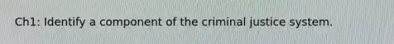 Ch1: Identify a component of the criminal justice system.