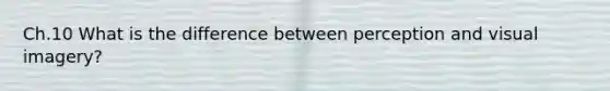 Ch.10 What is the difference between perception and visual imagery?