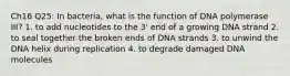 Ch16 Q25: In bacteria, what is the function of DNA polymerase III? 1. to add nucleotides to the 3' end of a growing DNA strand 2. to seal together the broken ends of DNA strands 3. to unwind the DNA helix during replication 4. to degrade damaged DNA molecules