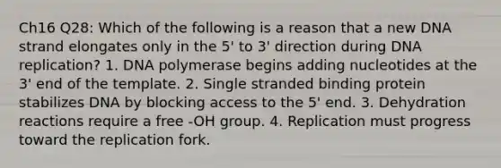 Ch16 Q28: Which of the following is a reason that a new DNA strand elongates only in the 5' to 3' direction during DNA replication? 1. DNA polymerase begins adding nucleotides at the 3' end of the template. 2. Single stranded binding protein stabilizes DNA by blocking access to the 5' end. 3. Dehydration reactions require a free -OH group. 4. Replication must progress toward the replication fork.