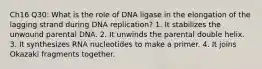 Ch16 Q30: What is the role of DNA ligase in the elongation of the lagging strand during DNA replication? 1. It stabilizes the unwound parental DNA. 2. It unwinds the parental double helix. 3. It synthesizes RNA nucleotides to make a primer. 4. It joins Okazaki fragments together.