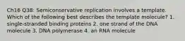 Ch16 Q38: Semiconservative replication involves a template. Which of the following best describes the template molecule? 1. single-stranded binding proteins 2. one strand of the DNA molecule 3. DNA polymerase 4. an RNA molecule