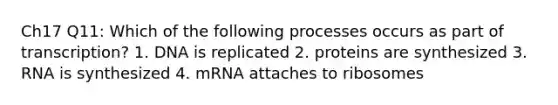 Ch17 Q11: Which of the following processes occurs as part of transcription? 1. DNA is replicated 2. proteins are synthesized 3. RNA is synthesized 4. mRNA attaches to ribosomes