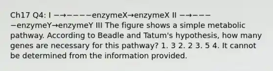 Ch17 Q4: I −→−−−−enzymeX→enzymeX II −→−−−−enzymeY→enzymeY III The figure shows a simple metabolic pathway. According to Beadle and Tatum's hypothesis, how many genes are necessary for this pathway? 1. 3 2. 2 3. 5 4. It cannot be determined from the information provided.