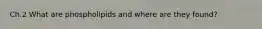 Ch.2 What are phospholipids and where are they found?