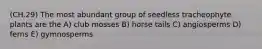 (CH.29) The most abundant group of seedless tracheophyte plants are the A) club mosses B) horse tails C) angiosperms D) ferns E) gymnosperms