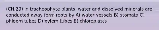 (CH.29) In tracheophyte plants, water and dissolved minerals are conducted away form roots by A) water vessels B) stomata C) phloem tubes D) xylem tubes E) chloroplasts