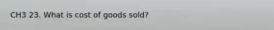 CH3 23. What is cost of goods sold?