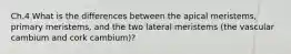 Ch.4 What is the differences between the apical meristems, primary meristems, and the two lateral meristems (the vascular cambium and cork cambium)?