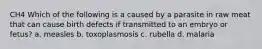 CH4 Which of the following is a caused by a parasite in raw meat that can cause birth defects if transmitted to an embryo or fetus? a. measles b. toxoplasmosis c. rubella d. malaria