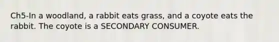 Ch5-In a woodland, a rabbit eats grass, and a coyote eats the rabbit. The coyote is a SECONDARY CONSUMER.