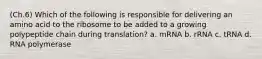 (Ch.6) Which of the following is responsible for delivering an amino acid to the ribosome to be added to a growing polypeptide chain during translation? a. mRNA b. rRNA c. tRNA d. RNA polymerase