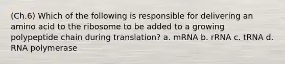 (Ch.6) Which of the following is responsible for delivering an amino acid to the ribosome to be added to a growing polypeptide chain during translation? a. mRNA b. rRNA c. tRNA d. RNA polymerase