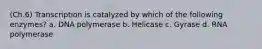 (Ch.6) Transcription is catalyzed by which of the following enzymes? a. DNA polymerase b. Helicase c. Gyrase d. RNA polymerase