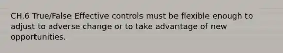 CH.6 True/False Effective controls must be flexible enough to adjust to adverse change or to take advantage of new opportunities.