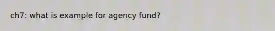 ch7: what is example for agency fund?