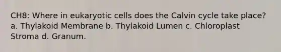 CH8: Where in <a href='https://www.questionai.com/knowledge/kb526cpm6R-eukaryotic-cells' class='anchor-knowledge'>eukaryotic cells</a> does the Calvin cycle take place? a. Thylakoid Membrane b. Thylakoid Lumen c. Chloroplast Stroma d. Granum.